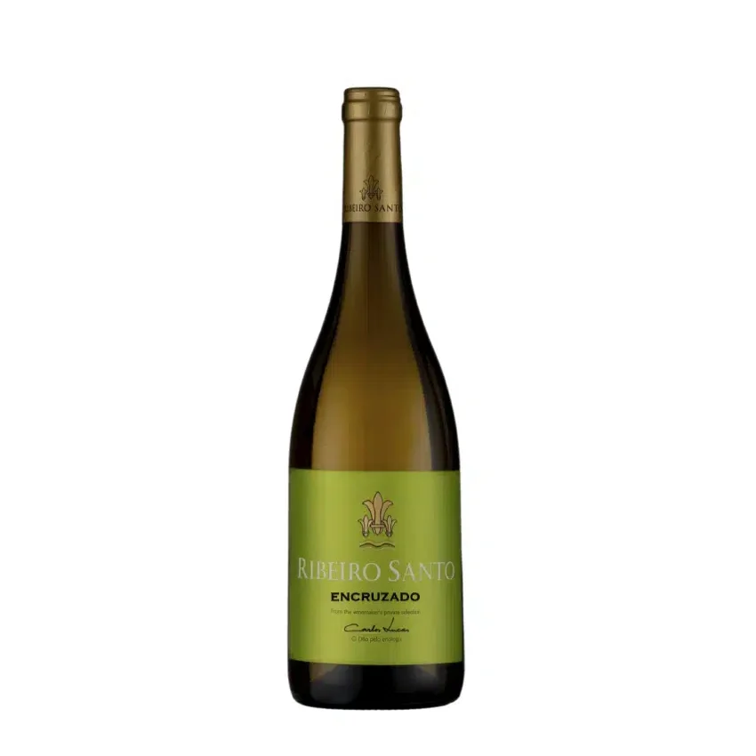 Ribeiro Santo Encruzado Branco