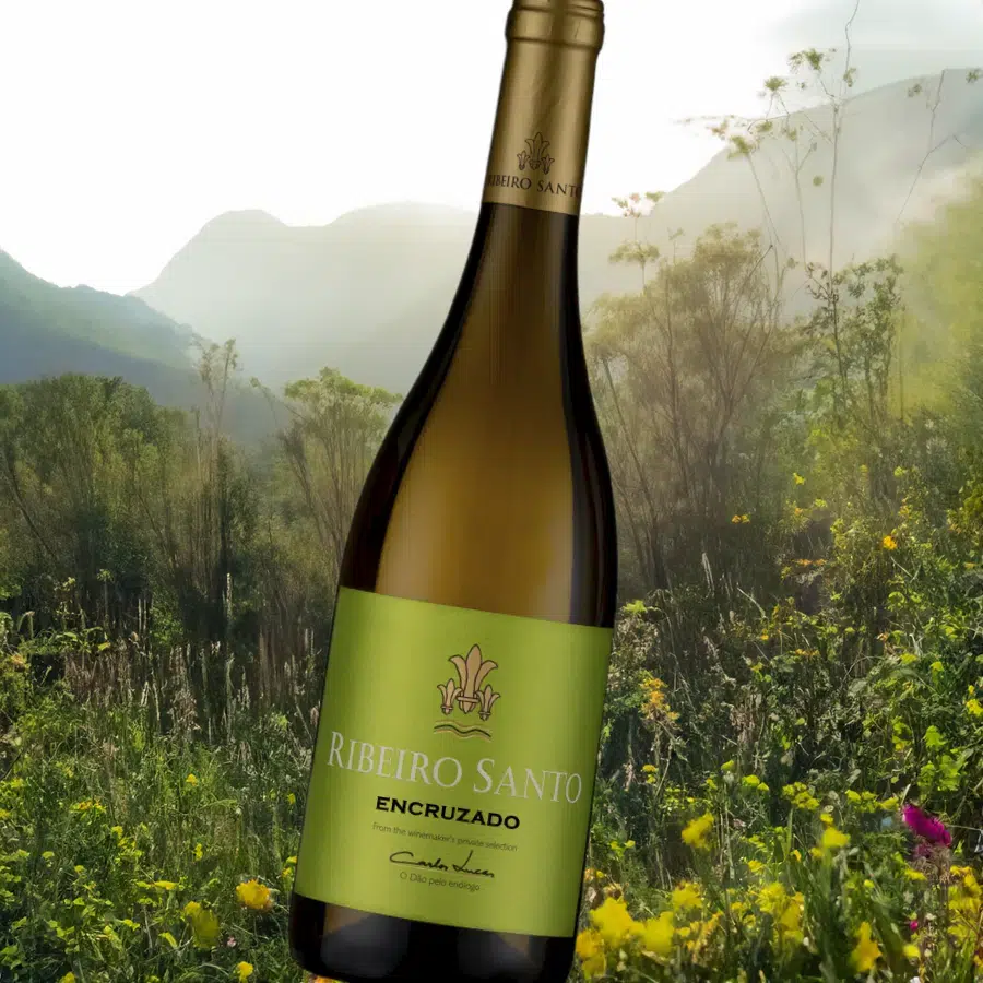 Descubra Ribeiro Santo Encruzado Branco