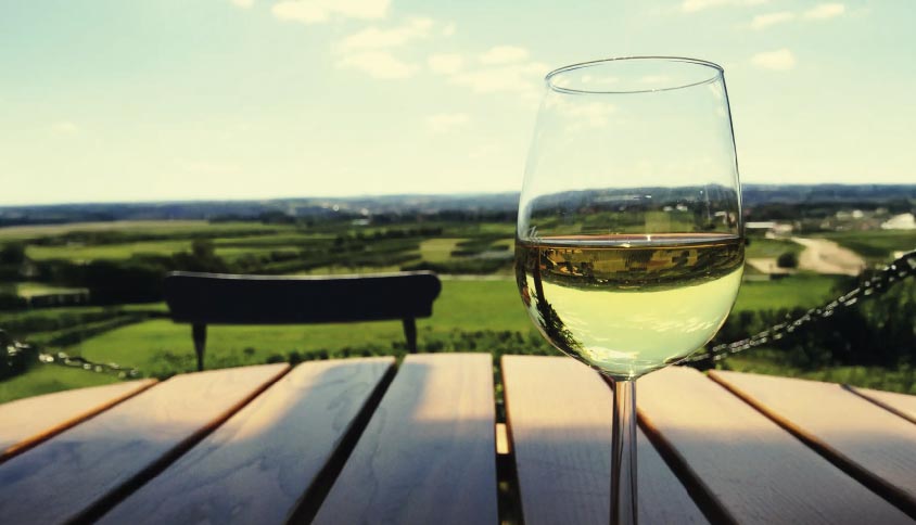 Garrafas de Vinho Verde