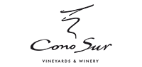 Cono Sur