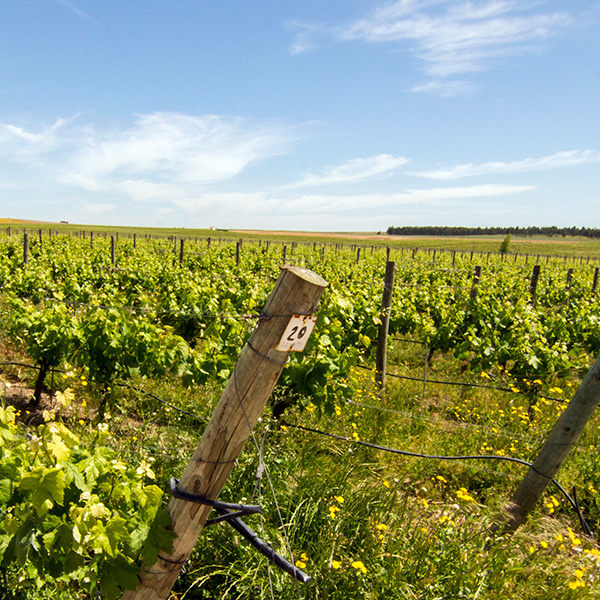 Alentejo