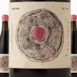 Vinho Carolice Tinto Gardunha Sul