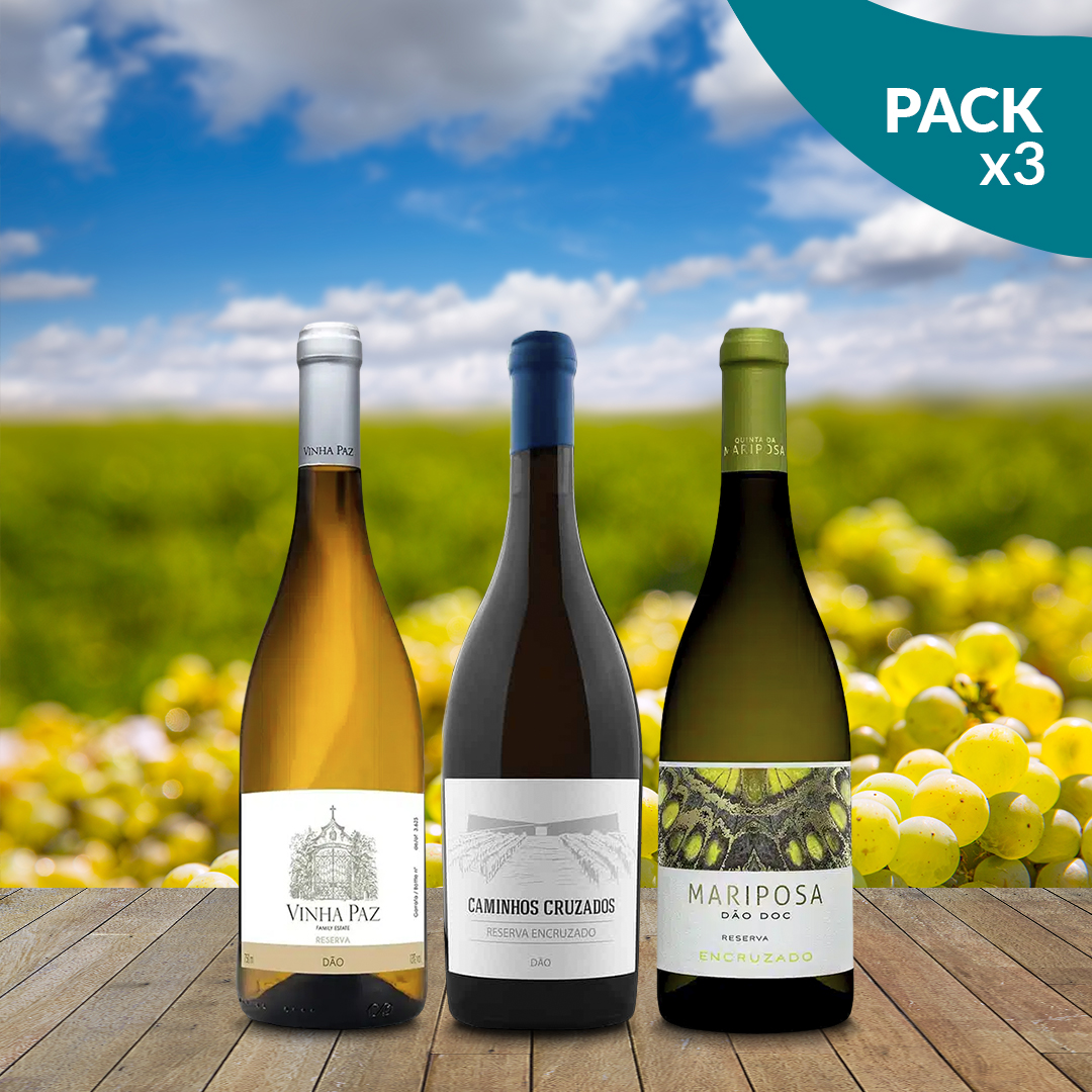 Pack Encruzados do Dão