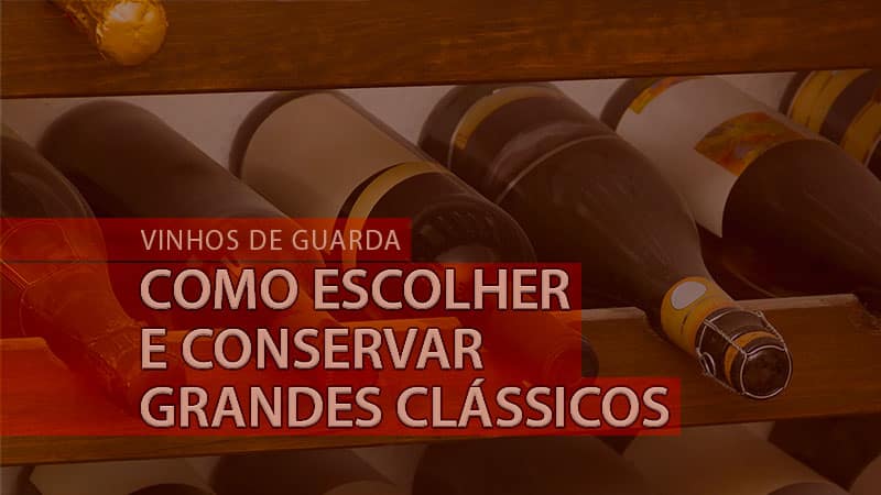 O que são vinhos de guarda? Como armazenar vinhos de guarda?