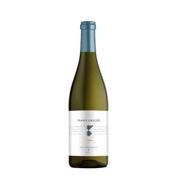 Villa Vescovile Pinot Grigio White
