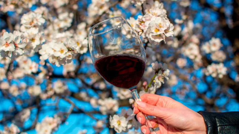 The Best Pairings for the Flower Season: Spring Wines