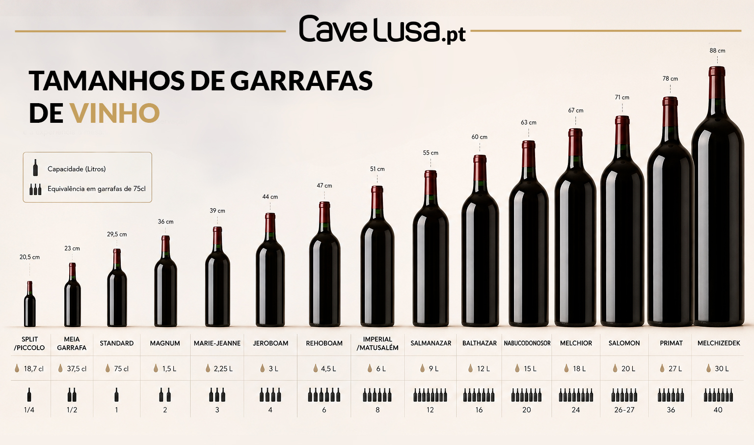 Infografia Os Diferentes Tamanhos de Garrafas de Vinho