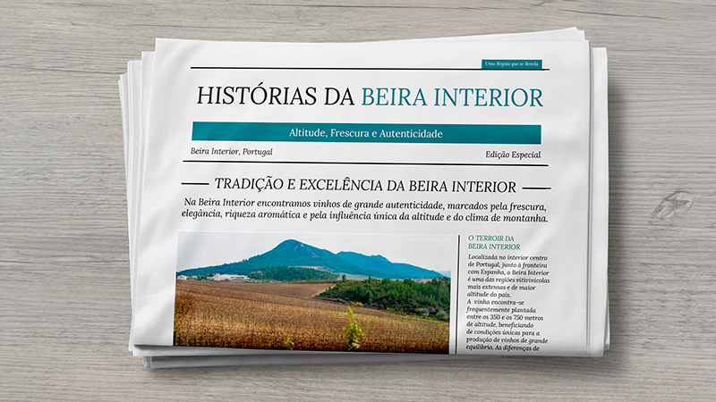 a história, as sub-regiões e as características da Beira Interior