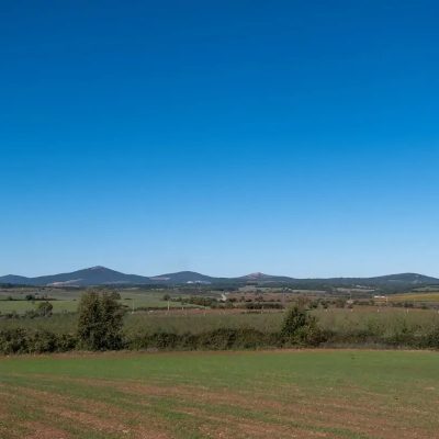 Planície Beira Interior Vinhos